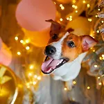 Artemisia Eco-pet Friendly Bed and Breakfast