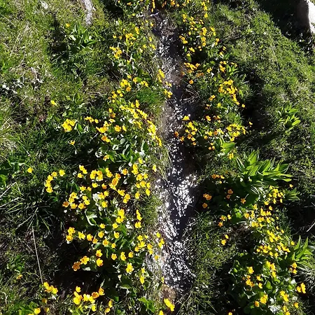 Artemisia Eco-Pet Friendly B&B 3*