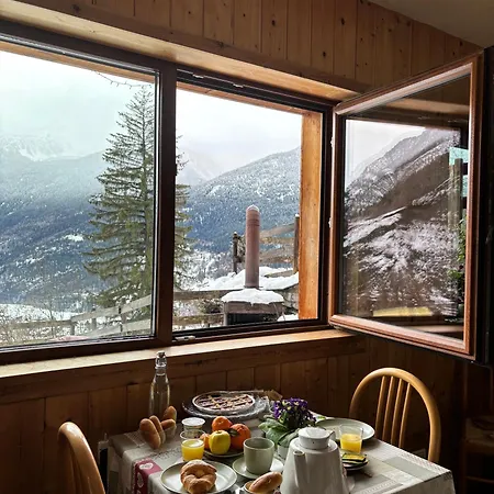 Artemisia Eco-pet Friendly 喇沙