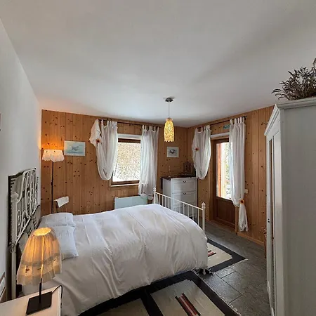 Artemisia Eco-pet Friendly لا سالّي