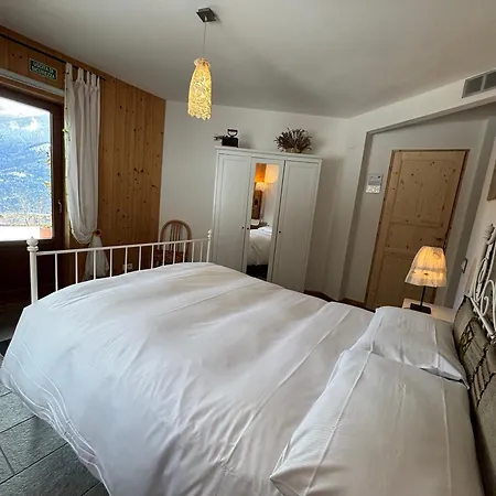 Artemisia Eco-pet Friendly