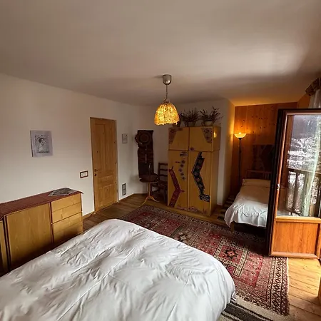 Artemisia Eco-pet Friendly