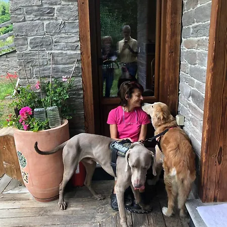 Artemisia Eco-pet Friendly 喇沙