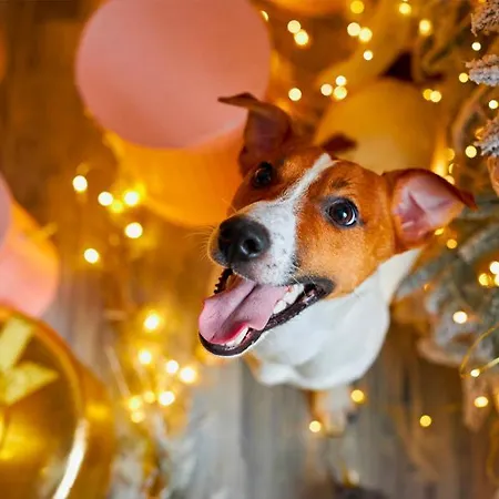 Artemisia Eco-pet Friendly فندق مبيت وإفطار