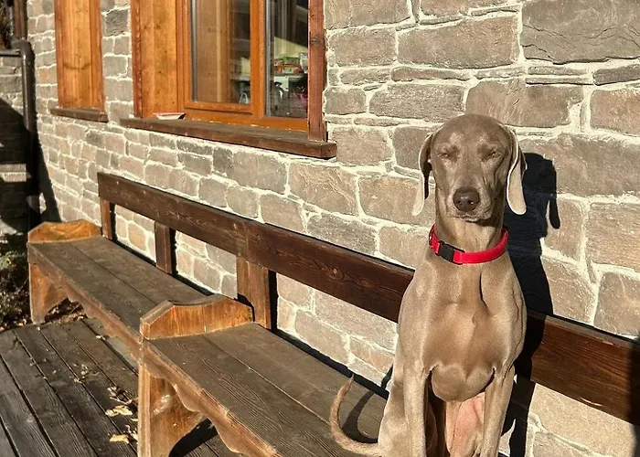 Artemisia Eco-pet Friendly 3* 喇沙