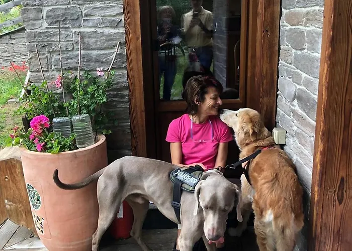 Artemisia Eco-pet Friendly 喇沙