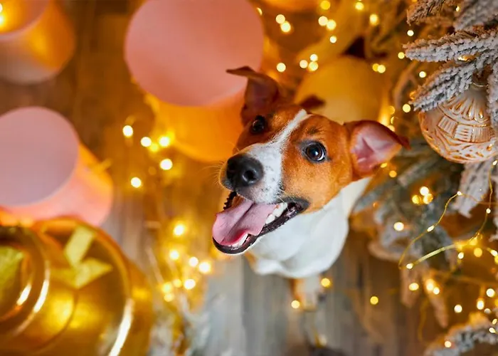 Artemisia Eco-pet Friendly 住宿加早餐酒店