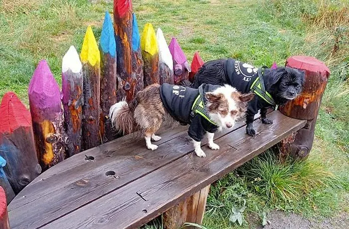 住宿加早餐酒店 Artemisia Eco-pet Friendly 3*